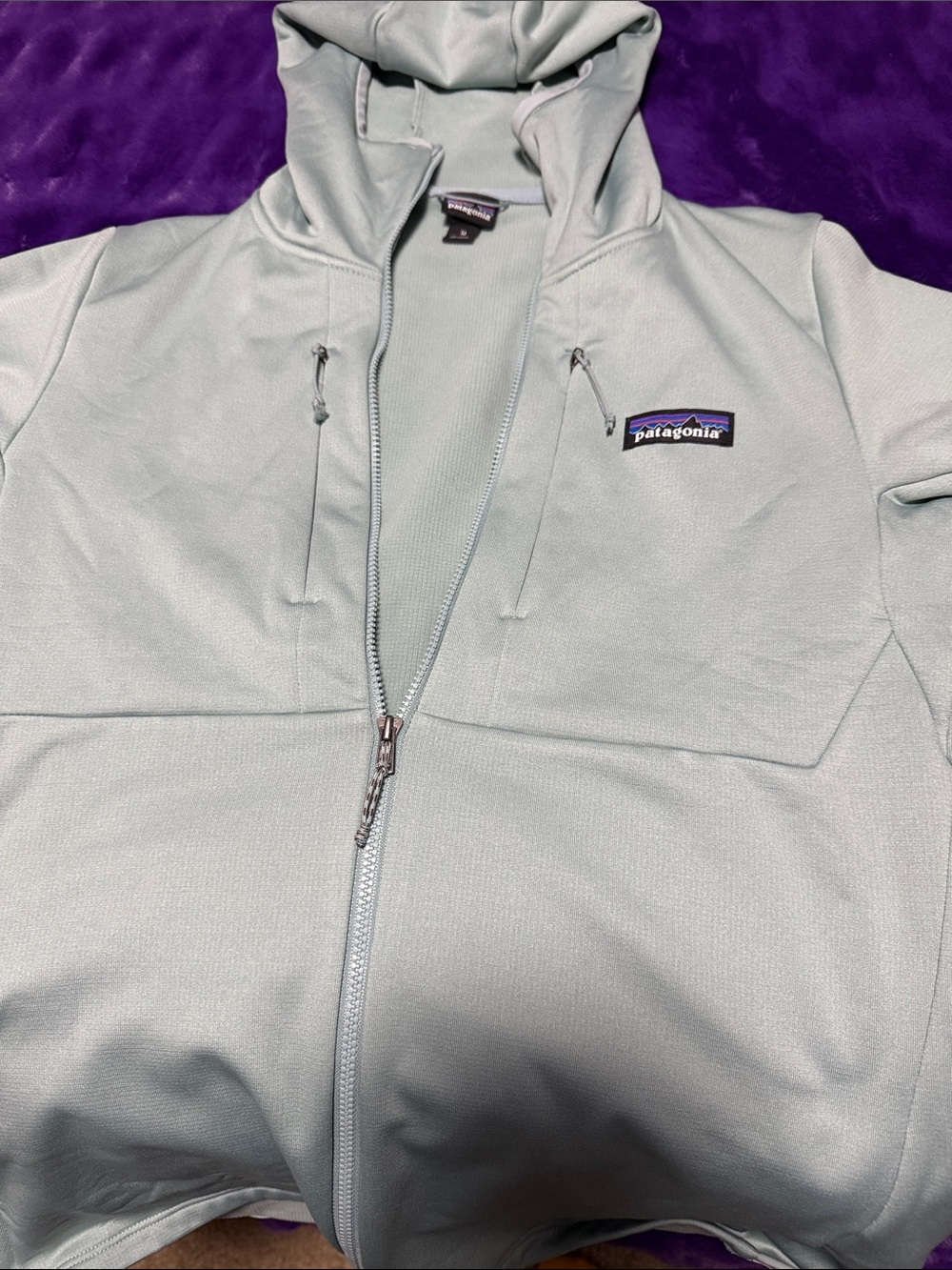 Patagonia Sage Green Full-Zip Hoodie